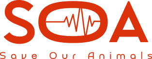 SOA Logo